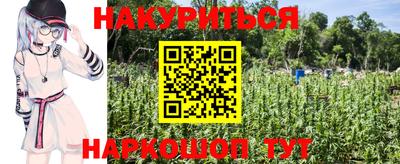 сатива Бугуруслан